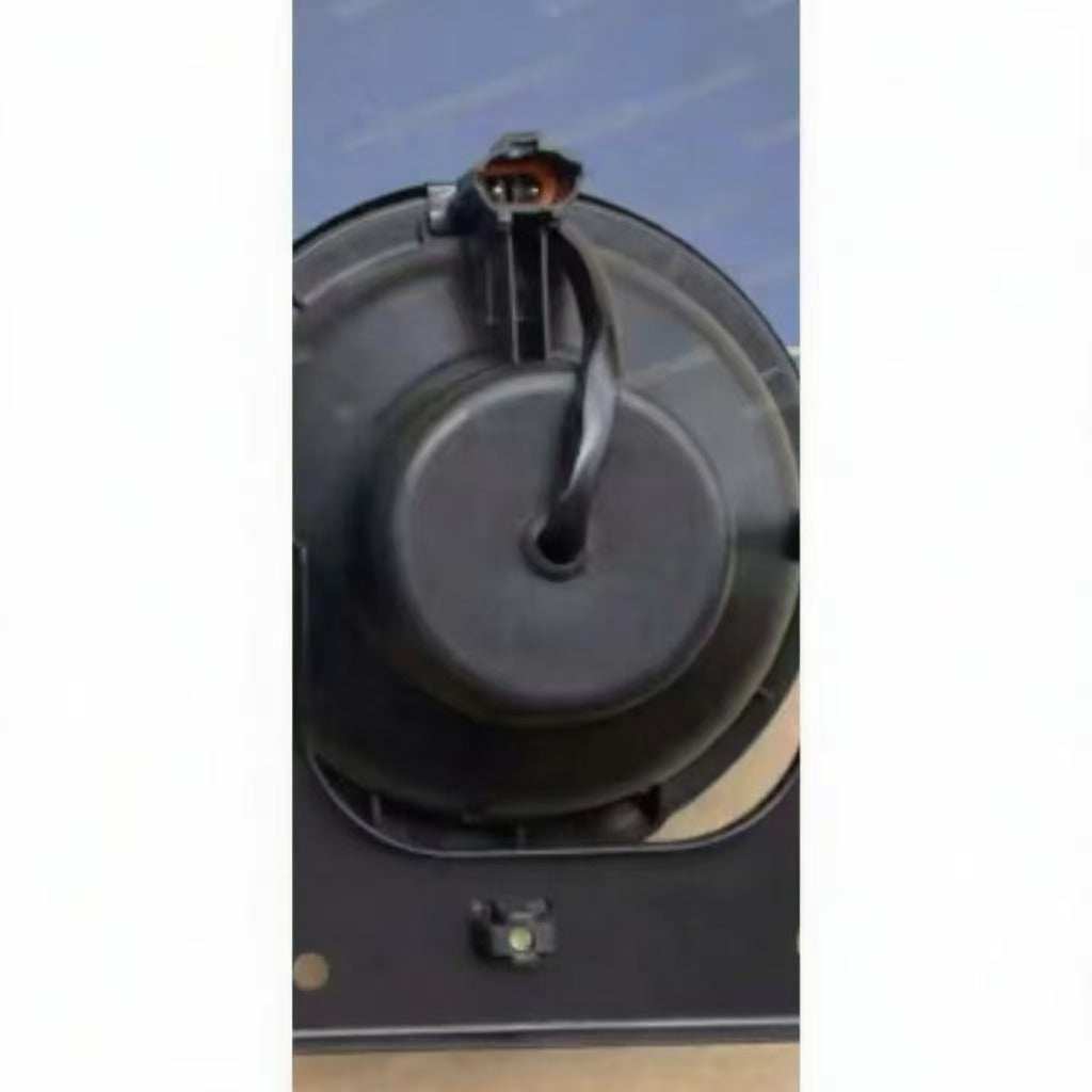 Fog Light Bulb with L=R 24V Irregular Oval Plug for Hyundai HD65-78 Series Truck Spare Parts