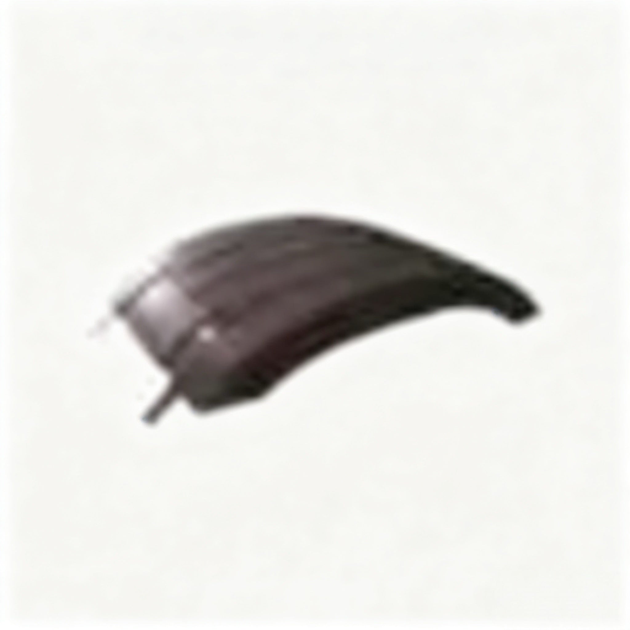 7421094387 7421094383 REAR MUDGUARD (MIDDLE) for Renault Premium Truck Parts