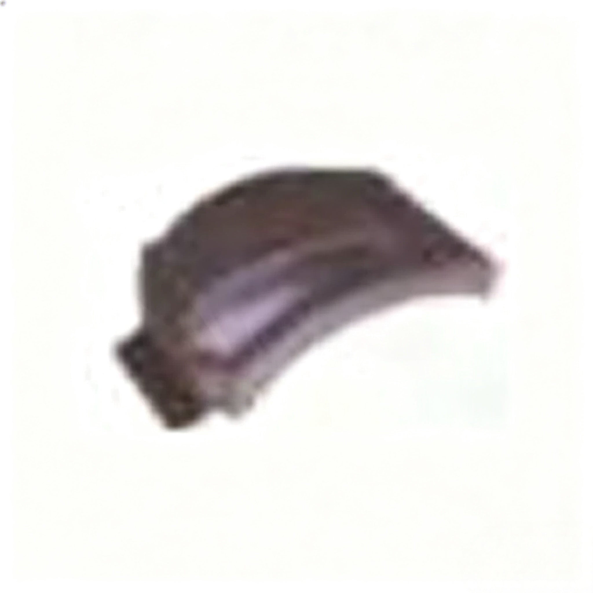 5010578407 5010578400 FRONT MUDGUARD UPPER for Renault Premium Truck Parts